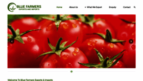 What Blue-farmers.com website looked like in 2019 (4 years ago)
