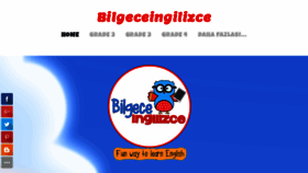 What Bilgeceingilizce.net website looked like in 2019 (4 years ago)