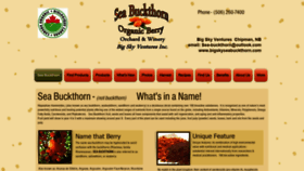 What Bigskyseabuckthorn.com website looked like in 2019 (4 years ago)