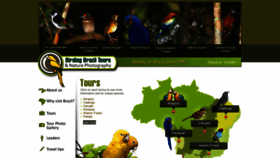 What Birdingbraziltours.com website looked like in 2019 (4 years ago)