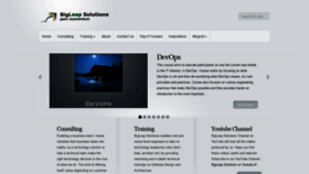 What Bigleap.co.in website looked like in 2019 (4 years ago)