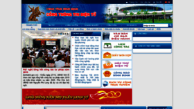 What Binhdinh.gov.vn website looked like in 2020 (6 years ago)