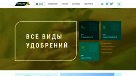 What Bhz.ru website looked like in 2020 (4 years ago)