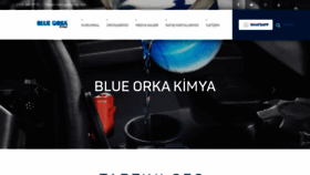 What Blueorkakimya.com website looked like in 2020 (4 years ago)