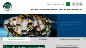 What Bpca.org.uk website looked like in 2020 (4 years ago)