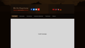 What Birlikkapitone.com website looked like in 2020 (4 years ago)