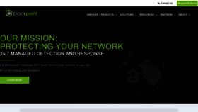 What Blackpointcyber.com website looked like in 2020 (5 years ago)