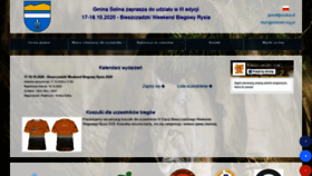 What Biegisolina.pl website looked like in 2020 (4 years ago)