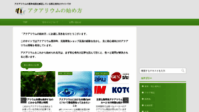 What Begin-aquarium.com website looked like in 2020 (6 years ago)