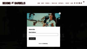 What Boxingandbarbells.com website looked like in 2020 (4 years ago)