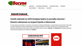 What Borynaplant.pl website looked like in 2020 (4 years ago)
