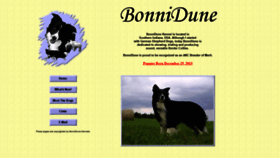 What Bonnidune.com website looked like in 2020 (4 years ago)