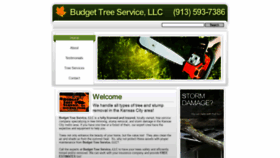 What Budgettreeservicekc.com website looked like in 2020 (4 years ago)