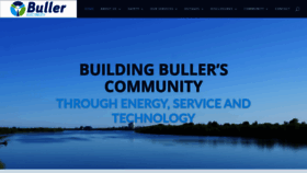 What Bullerelectricity.co.nz website looked like in 2020 (4 years ago)