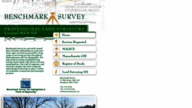 What Benchmarksurvey.com website looked like in 2020 (6 years ago)