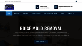 What Boise-moldremoval.com website looked like in 2020 (4 years ago)