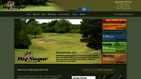 What Bigsugargolf.com website looked like in 2020 (4 years ago)
