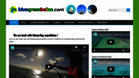 What Bluegreenbelize.com website looked like in 2020 (4 years ago)