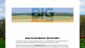 What Bigpicturebeef.com website looked like in 2020 (4 years ago)