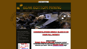 What Bearbottommining.com website looked like in 2020 (4 years ago)