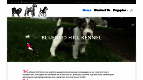 What Bluebirdhill.net website looked like in 2020 (4 years ago)