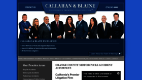 What Bicycle-litigation.com website looked like in 2020 (4 years ago)