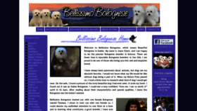 What Bellissimobolognese.com website looked like in 2020 (4 years ago)