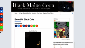 What Blackmainecoon.com website looked like in 2020 (4 years ago)