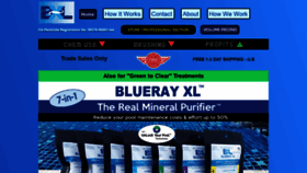 What Bluerayxl.com website looked like in 2020 (4 years ago)