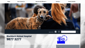 What Blackburnanimalhospital.com.au website looked like in 2020 (4 years ago)