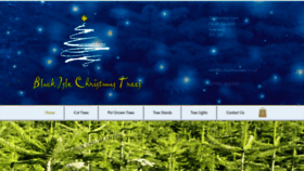 What Bichristmastrees.co.uk website looked like in 2020 (4 years ago)