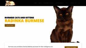 What Burmese.net.nz website looked like in 2020 (4 years ago)
