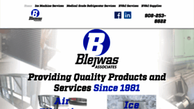 What Blejwas.com website looked like in 2020 (4 years ago)