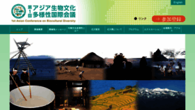 What Bcd2016.jp website looked like in 2020 (4 years ago)