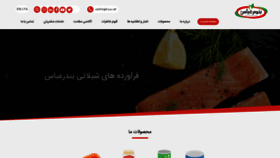 What Bafpco.ir website looked like in 2020 (4 years ago)