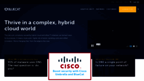 What Bluecatnetworks.com website looked like in 2020 (5 years ago)