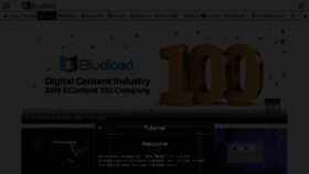 What Bluetoad.com website looked like in 2020 (4 years ago)