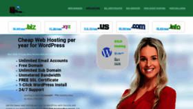 What Bluehillhosting.com website looked like in 2020 (4 years ago)