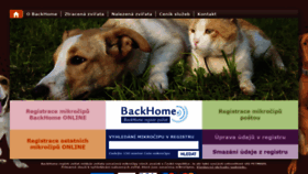 What Backhome.cz website looked like in 2020 (4 years ago)
