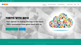 What Brio.co.in website looked like in 2020 (4 years ago)