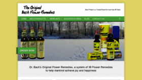 What Bachflower.com website looked like in 2020 (4 years ago)