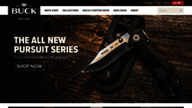 What Buckknives.com website looked like in 2020 (4 years ago)