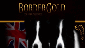 What Bordergold.pl website looked like in 2020 (4 years ago)