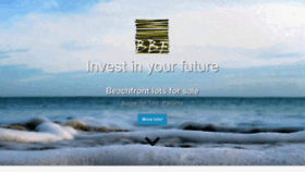 What Bluffbeachandforest.com website looked like in 2020 (4 years ago)