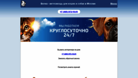 What Belkavet.ru website looked like in 2020 (4 years ago)