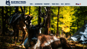 What Bluewolftravel.com website looked like in 2020 (4 years ago)