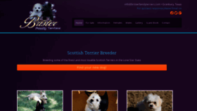 What Bristerfamilyterriers.com website looked like in 2020 (4 years ago)