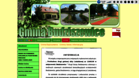What Budziszewice.net website looked like in 2020 (4 years ago)