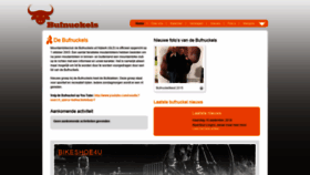 What Bufnuckels.nl website looked like in 2020 (4 years ago)