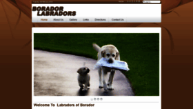 What Boradorlabradors.com website looked like in 2020 (4 years ago)